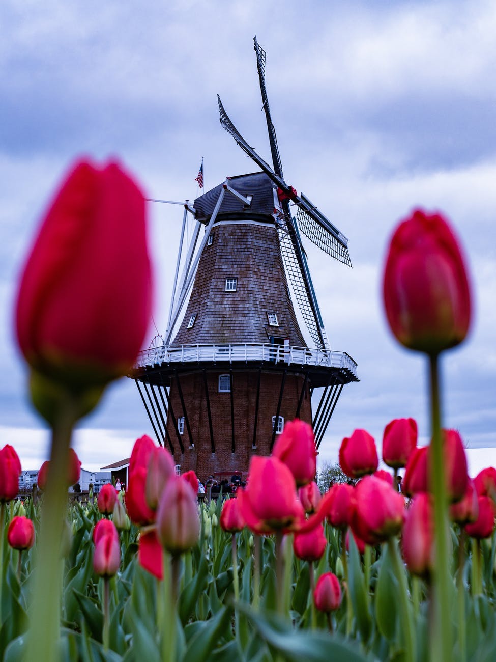 2021 Dutch Elections – How are the party pages competing on Facebook?
